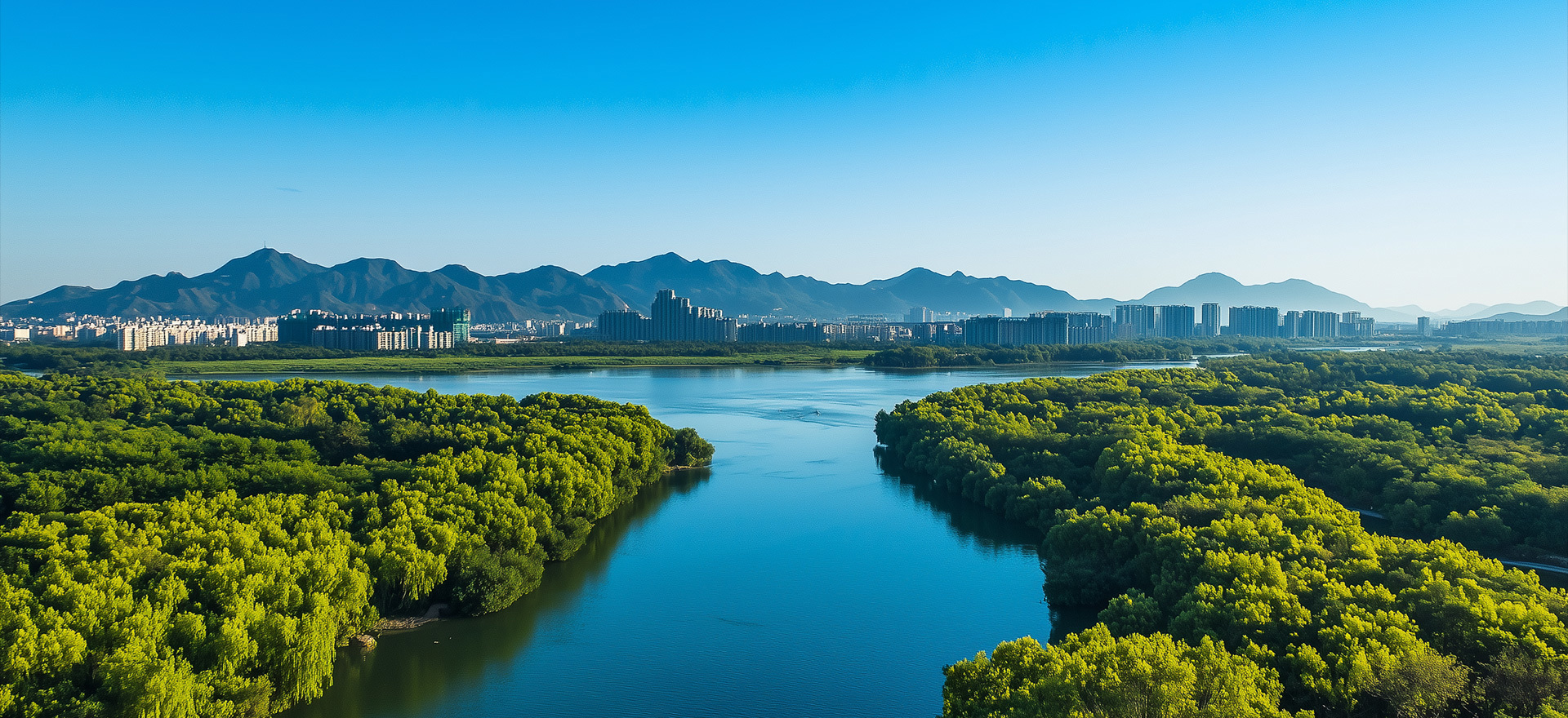 Protect the environment Benefit mankind