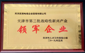 领军企业