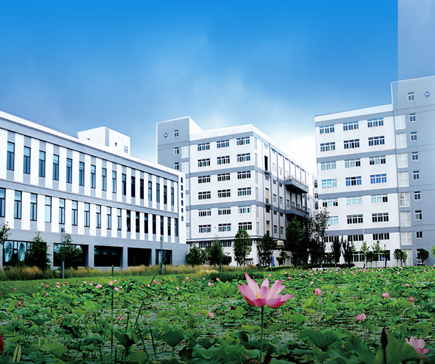 High-standard plant Various specifications