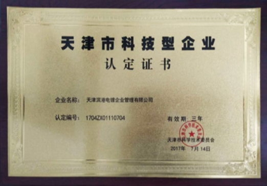 Tianjin Science and Technology Enterprise Recognition