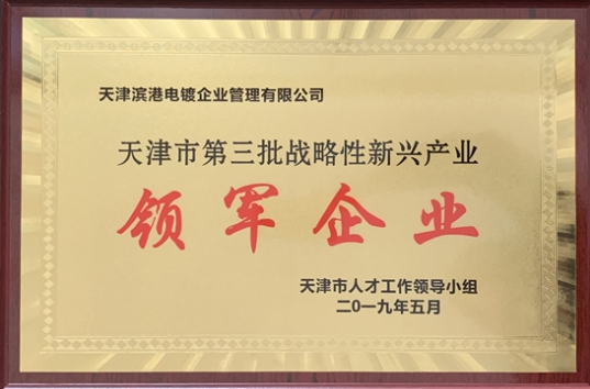 The third batch of leading enterprises of strategic emerging industries in Tianjin