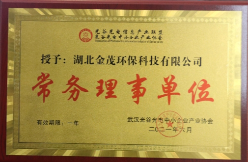 Wuhan Optical Valley Optoelectronic Small and Medium-sized Enterprises Industry Association executive director unit