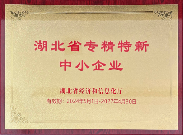 Hubei’s 'Little Giant' Enterprises